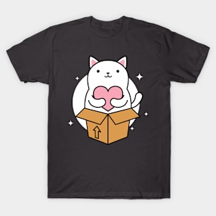 Cat in a Box T-Shirt